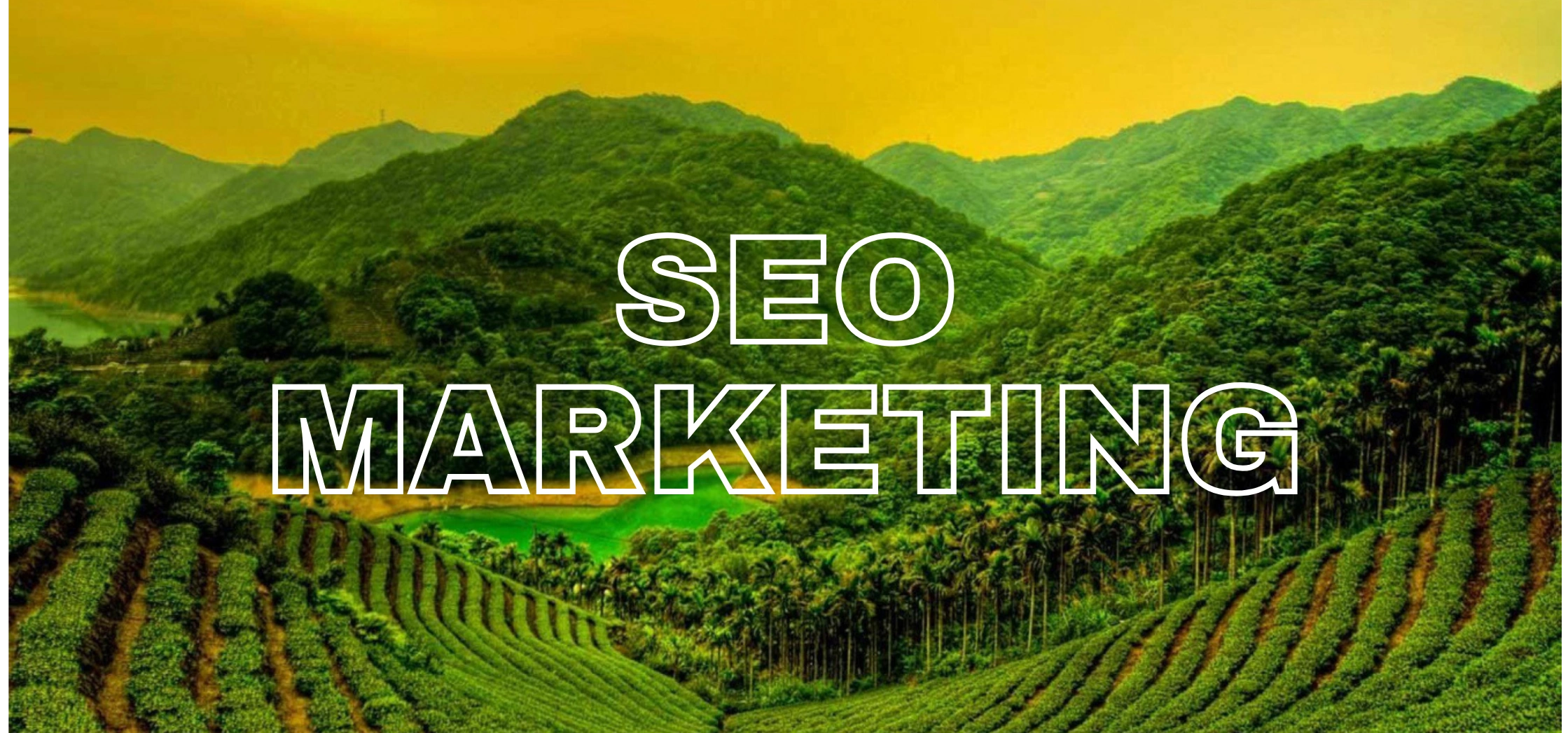 How SEO Helps Local Kerala Brands Get More Visibility